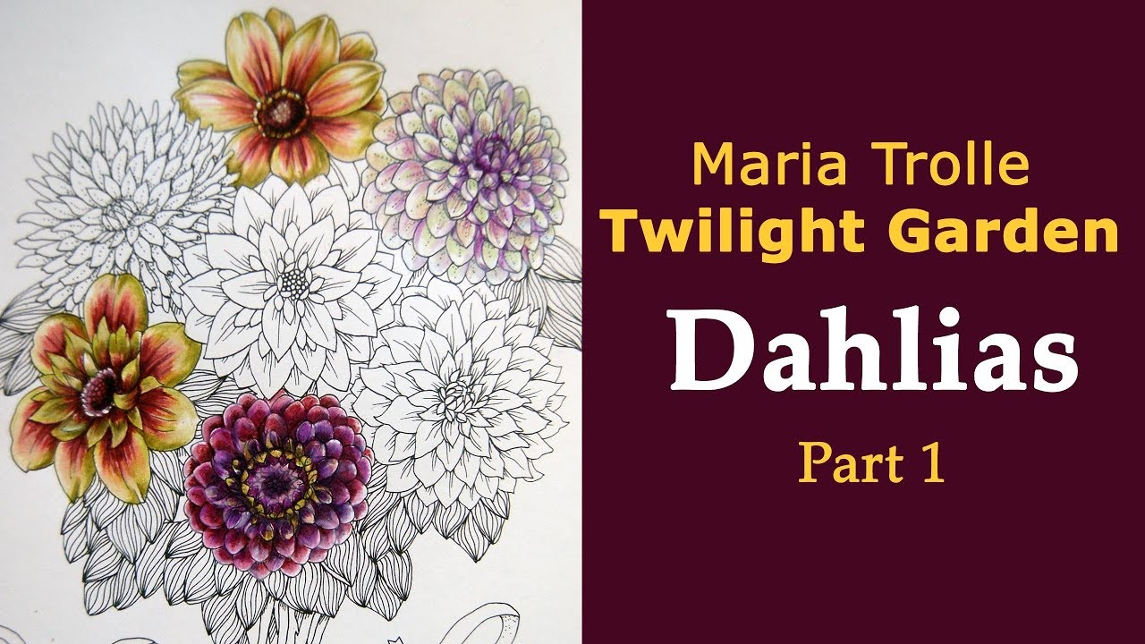 Colouring with Prismacolor pencils. 'Twilight garden'  Dahlias. Part 1 /