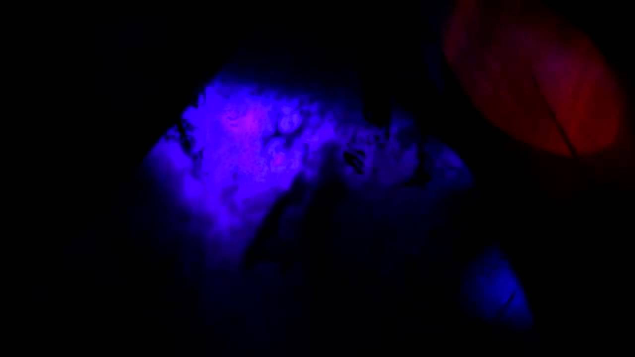 The Widest Smiling Faces - Beach (indie, shoegaze)