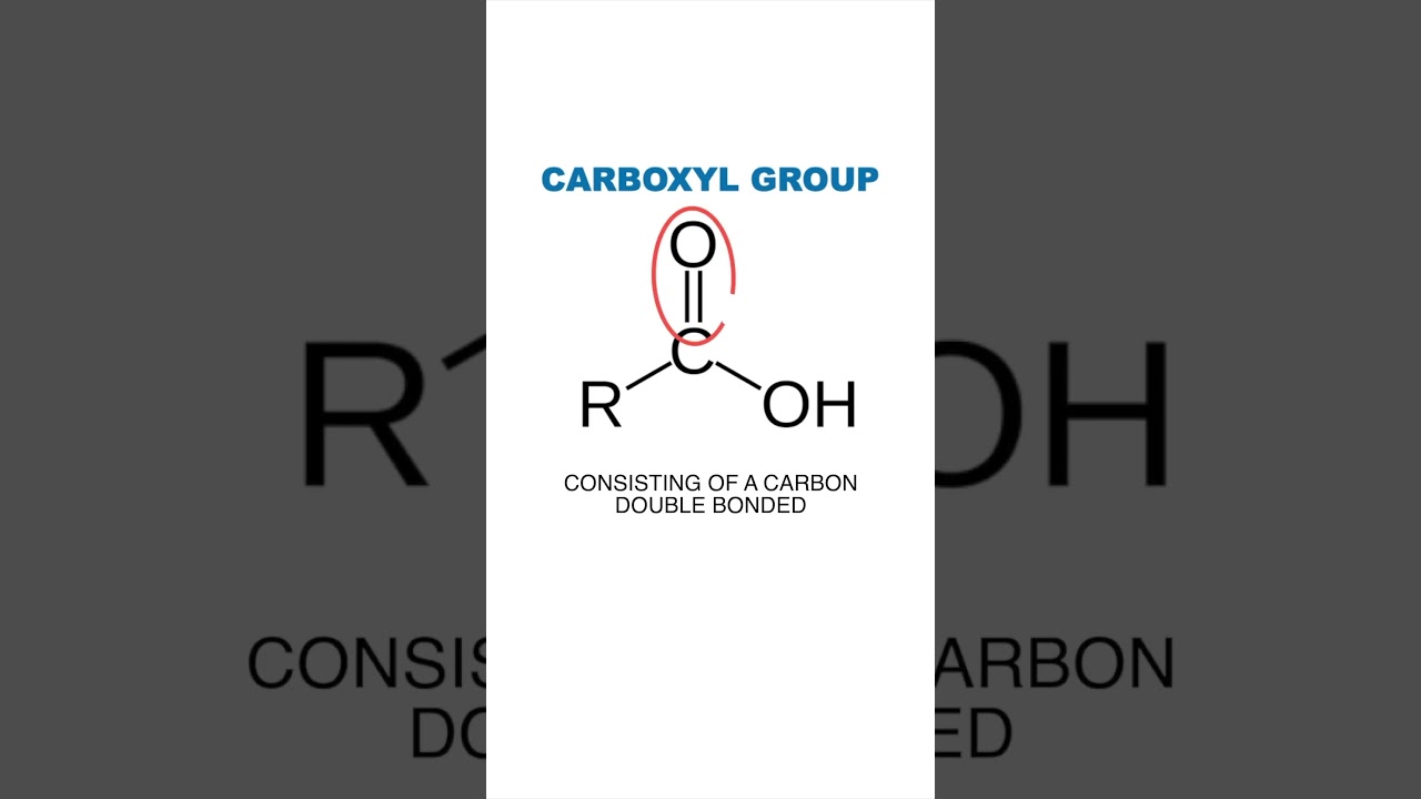 Carboxyl Group | Functional Groups