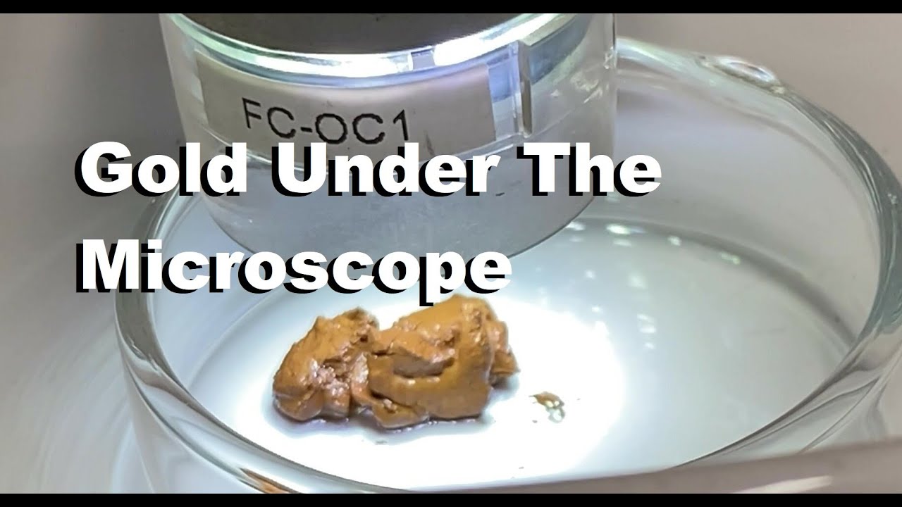 Inquarted Gold Under The Microscope