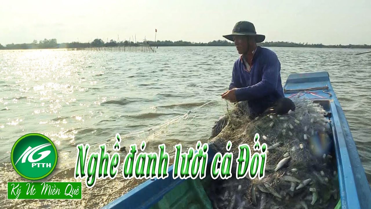K&yacute; ức miền qu&ecirc; l Nghề đ&aacute;nh lưới c&aacute; Đối l THKG