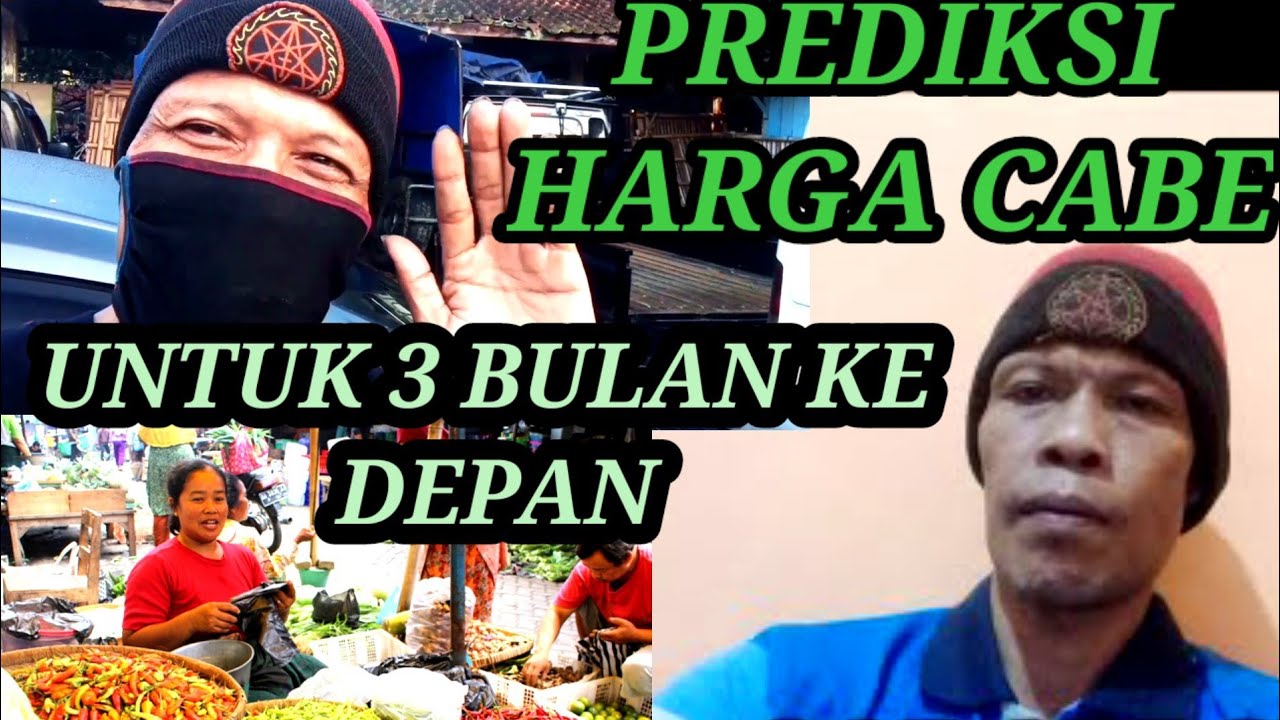 HARGA CABAI RAWIT HARI INI .