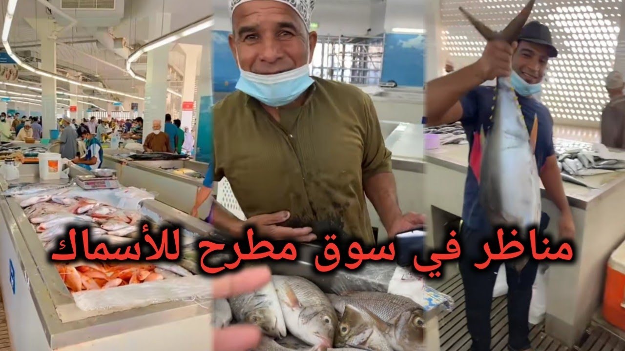 مناظر في سوق مطرح للأسماك | محمد المخيني