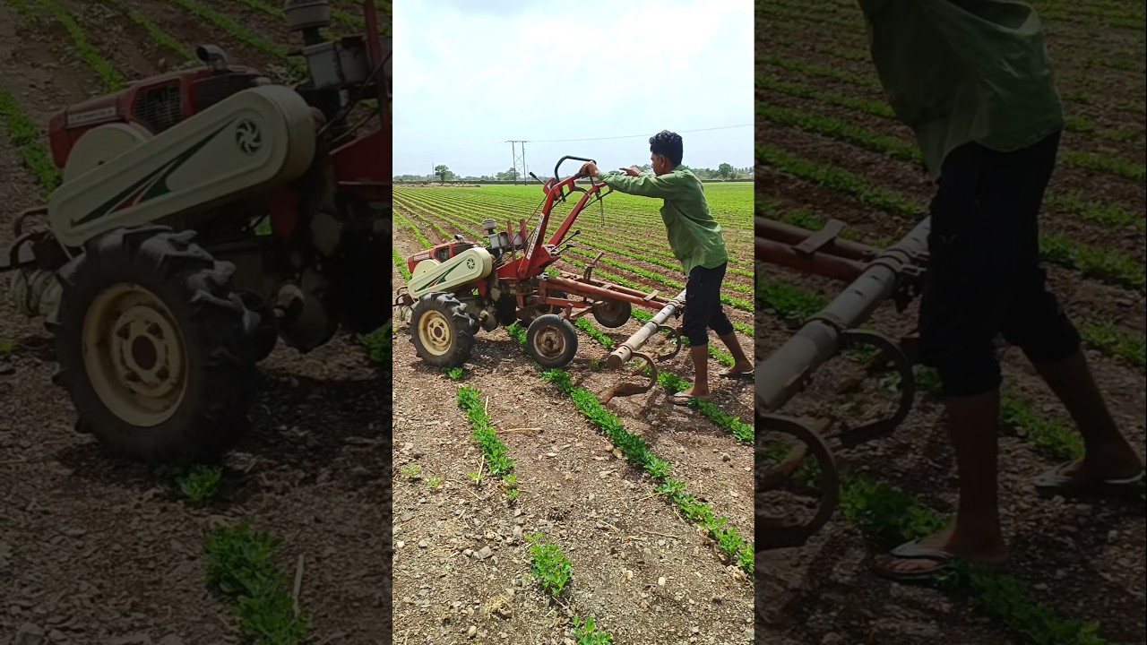 Power Tiller Se Kheti🔥 Farming Short🚜 #agriculture #satisfying #shot #farming #farmlife #powertiller