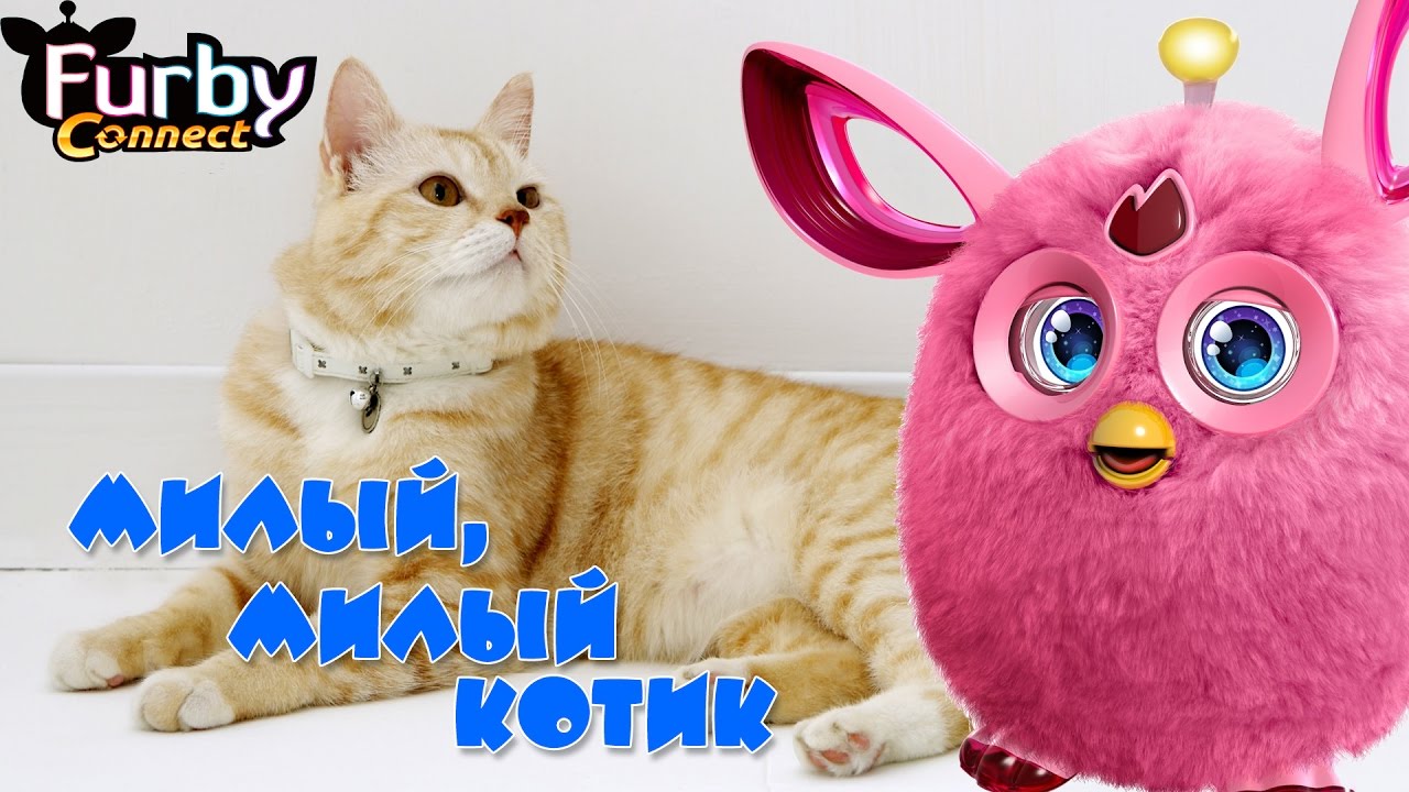 Furby Connect (Ферби Коннект )и милый милый котик поет по русски