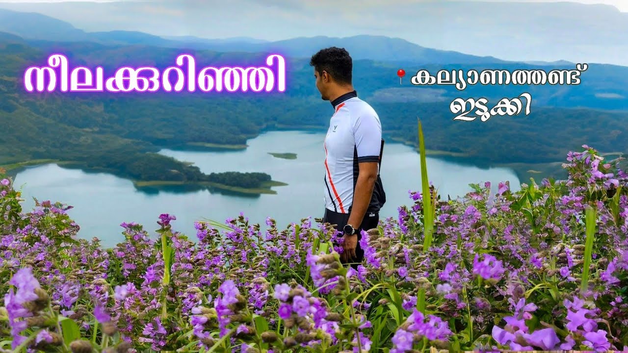 നീലക്കുറിഞ്ഞി '24 - ഇടുക്കി 💜 | One Day Cycling To Idukki | 220 kms | Kalyanathandu Hills