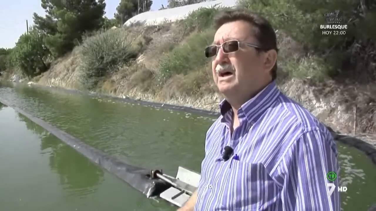 ASN Espirulina en 