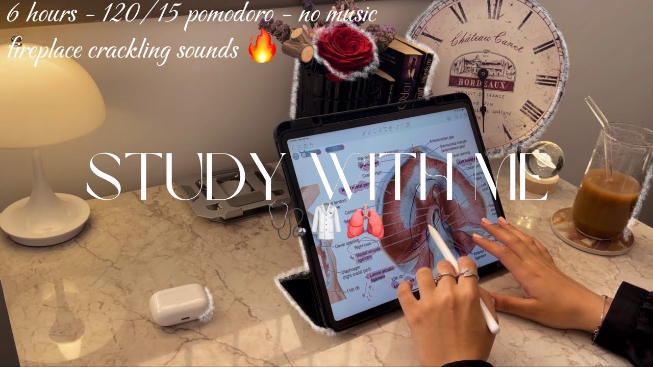 Study with me 6 hours 🩺 | 120/15 pomodoro - no music