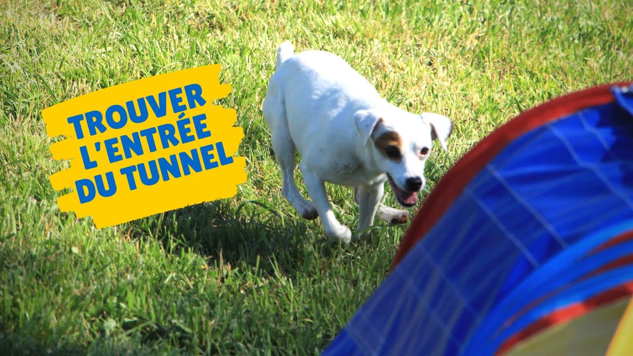 TUTO AGILITY : Trouver l'entrée du tunnel