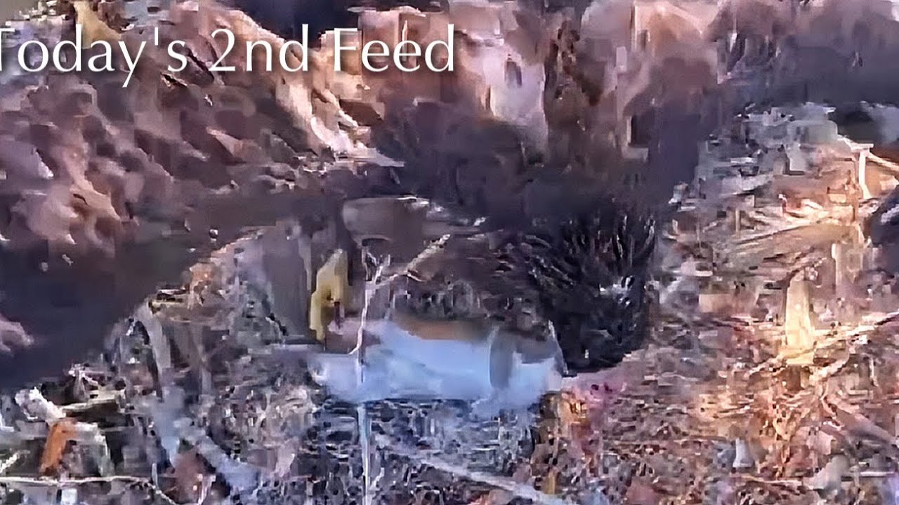 #419🦅Brutus🐥62° & Peanut🐥57°／Winter Park Eagle Nest 2026／Against All Odds:One-Eyed Mom／Wink💗Atlas