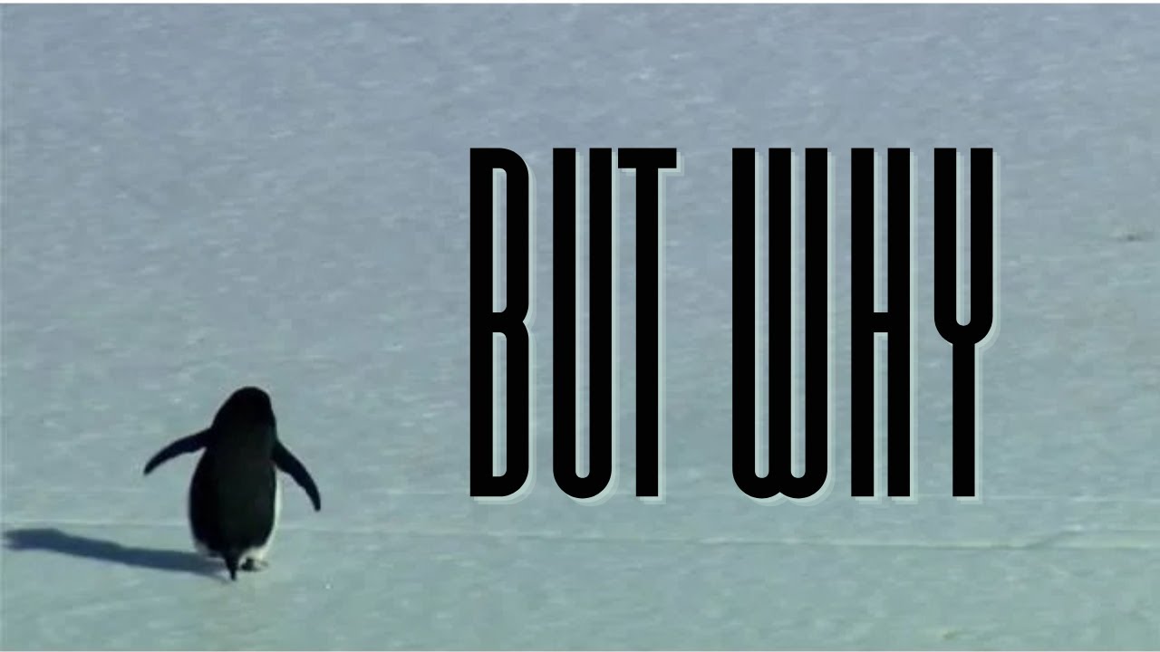 The 'WANDERING NIHILISTIC PENGUIN' Music - L'Amour Toujours (Organ Version by Andreas G&auml;rtner)