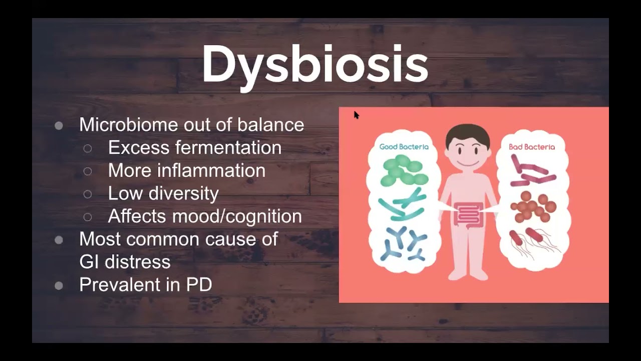 Gut-Brain Connection in Parkinson's Disease