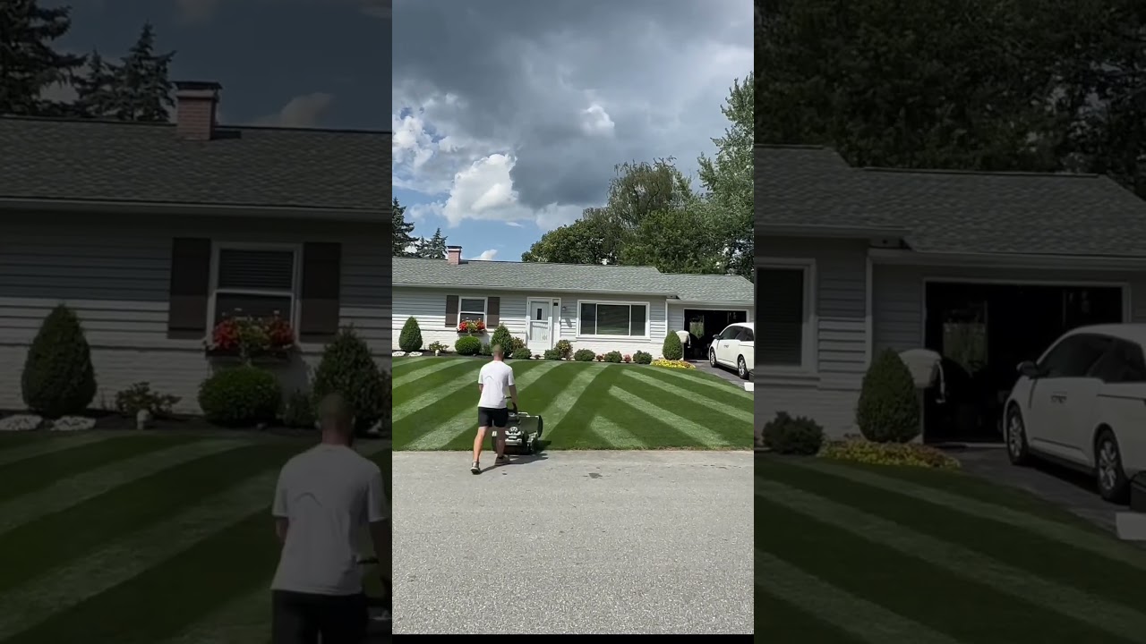#lawn #stripes #satisfying #oddlysatisfying #grass #lawntips #diy #mowing #lawncare