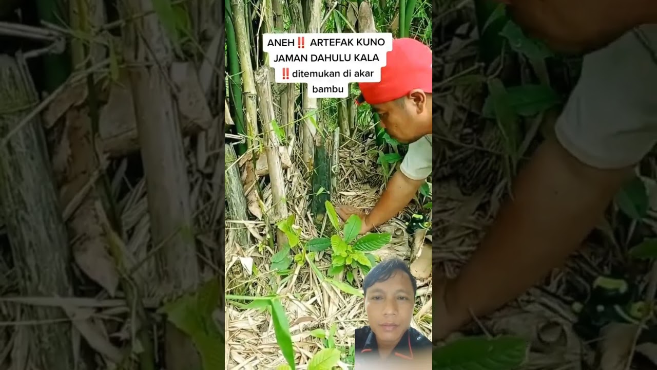 penemuan artefak kuno