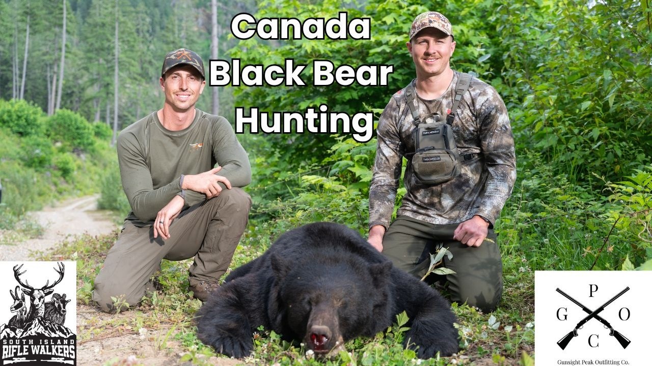 Spring BLACK BEAR hunting in British Columbia, Canada | Gunsight Peak Outfitters