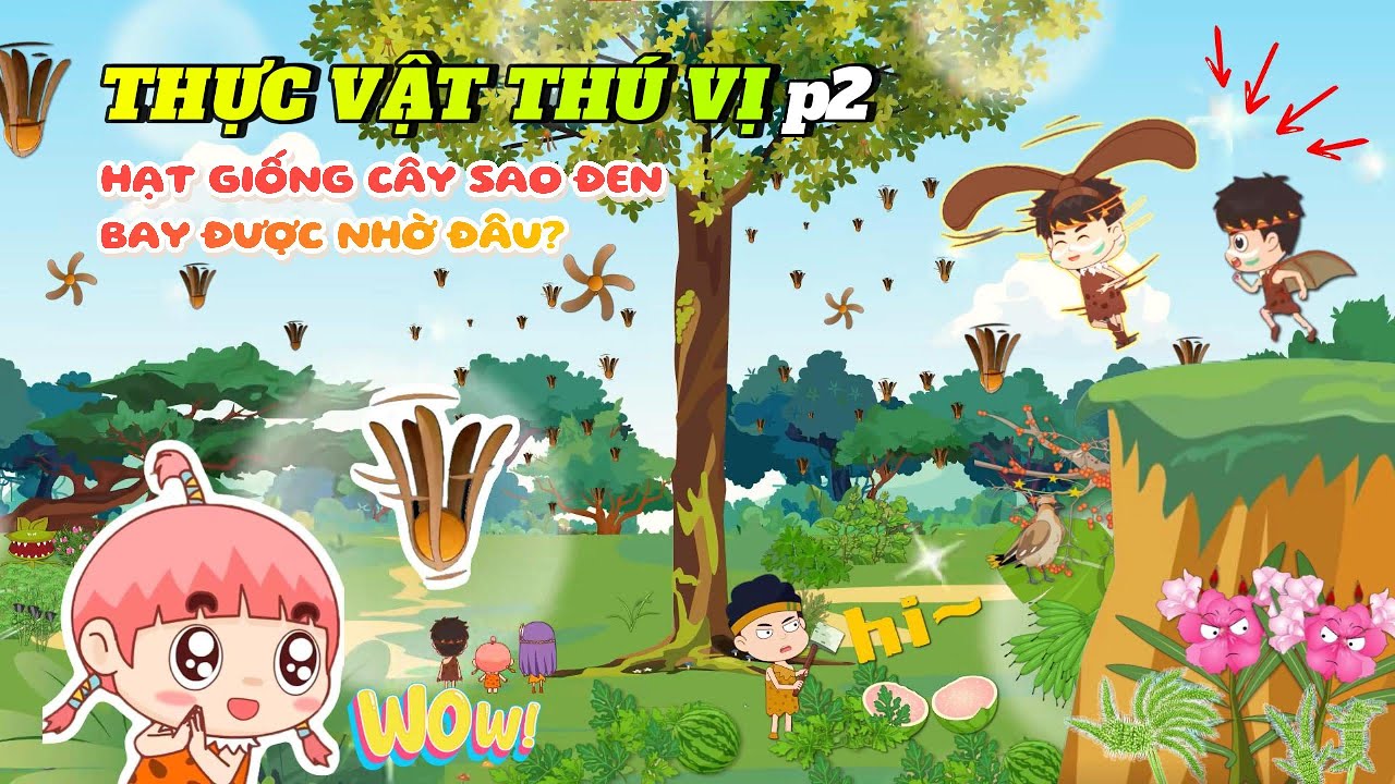 Hạt giống C&acirc;y sao đen bay được l&agrave; nhờ đ&acirc;u? | Kh&aacute;m ph&aacute; thực vật th&uacute; vị (Phần 2) #kienthuc #hoathinh