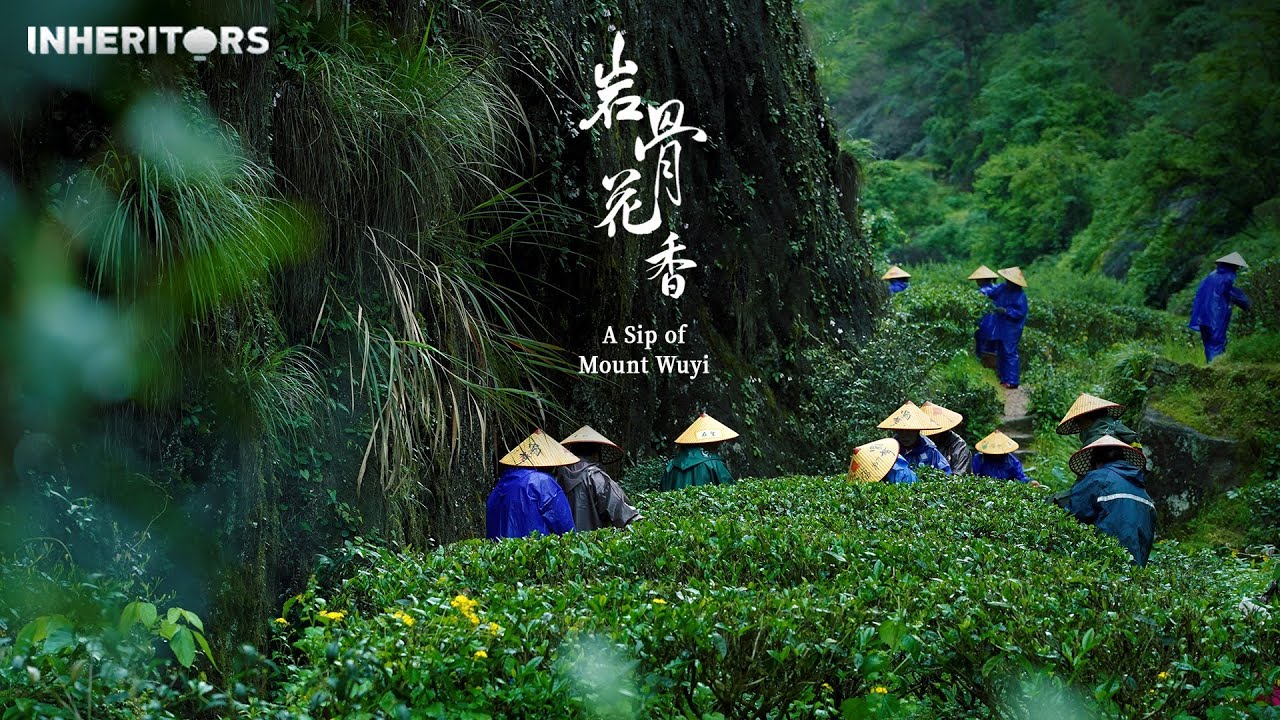Wuyi Rock Tea 武夷岩茶 武夷巖茶