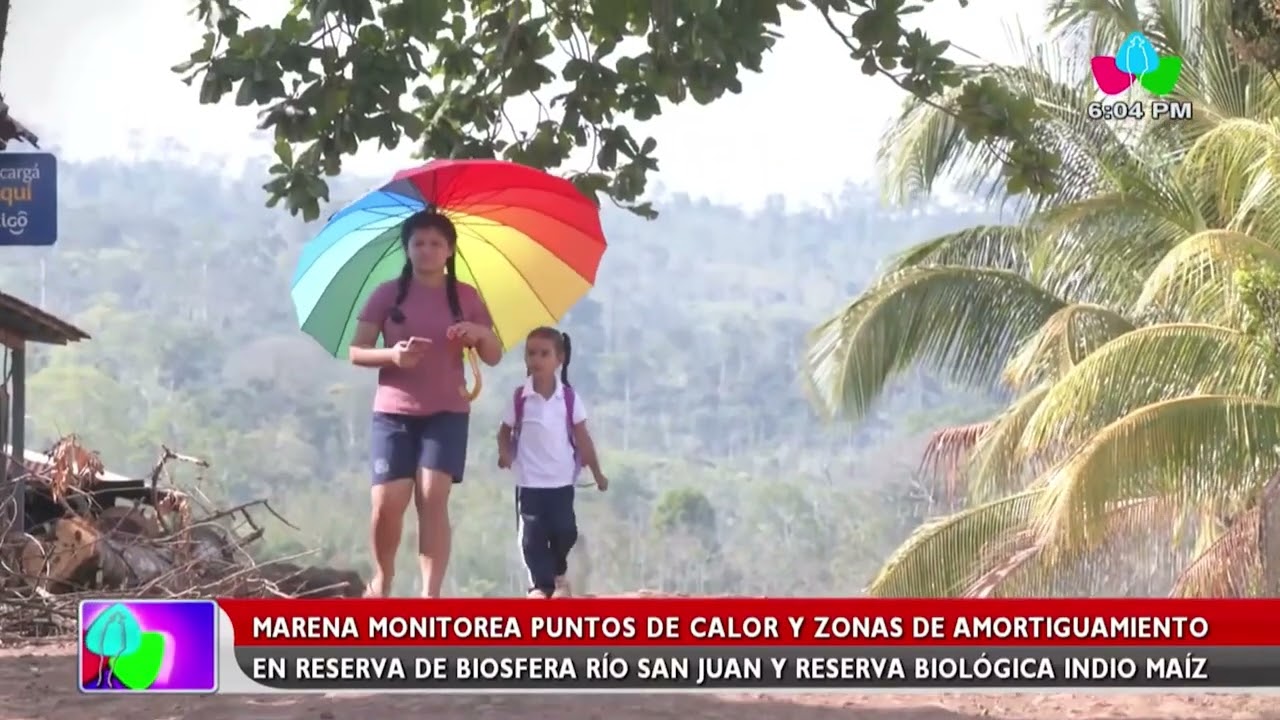 Monitoreo de los recursos naturales de la Reserva Biológica Indio Maíz y Bosawas.