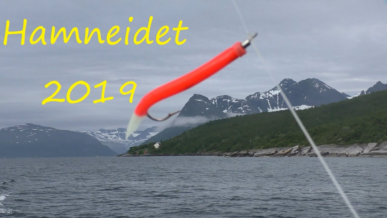 Hamneidet 2019