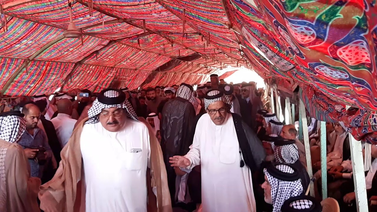 فصل احد اشيوخ الحسينات في ناصريه شيخ عشيرة ال زعيل جراد ضعين ابو حسن او تم صلح ما بين عشيرت ال زعيل