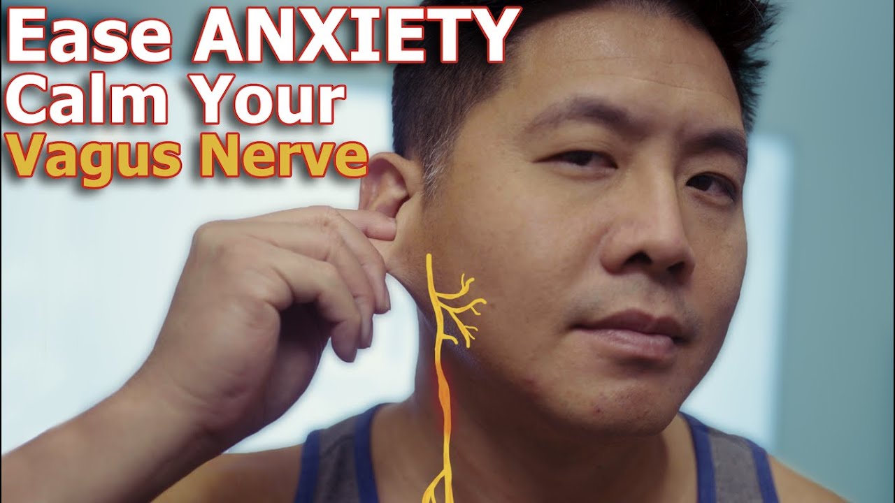RELAX Your Nervous System With These Vagus Nerve Tricks | Physical Therapist Teaches Biohack