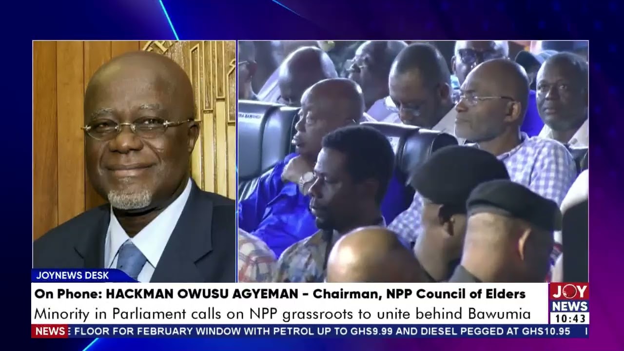 NPP Presidential Primary: Minority in Parliament calls on grassroots to unite behind Bawumia