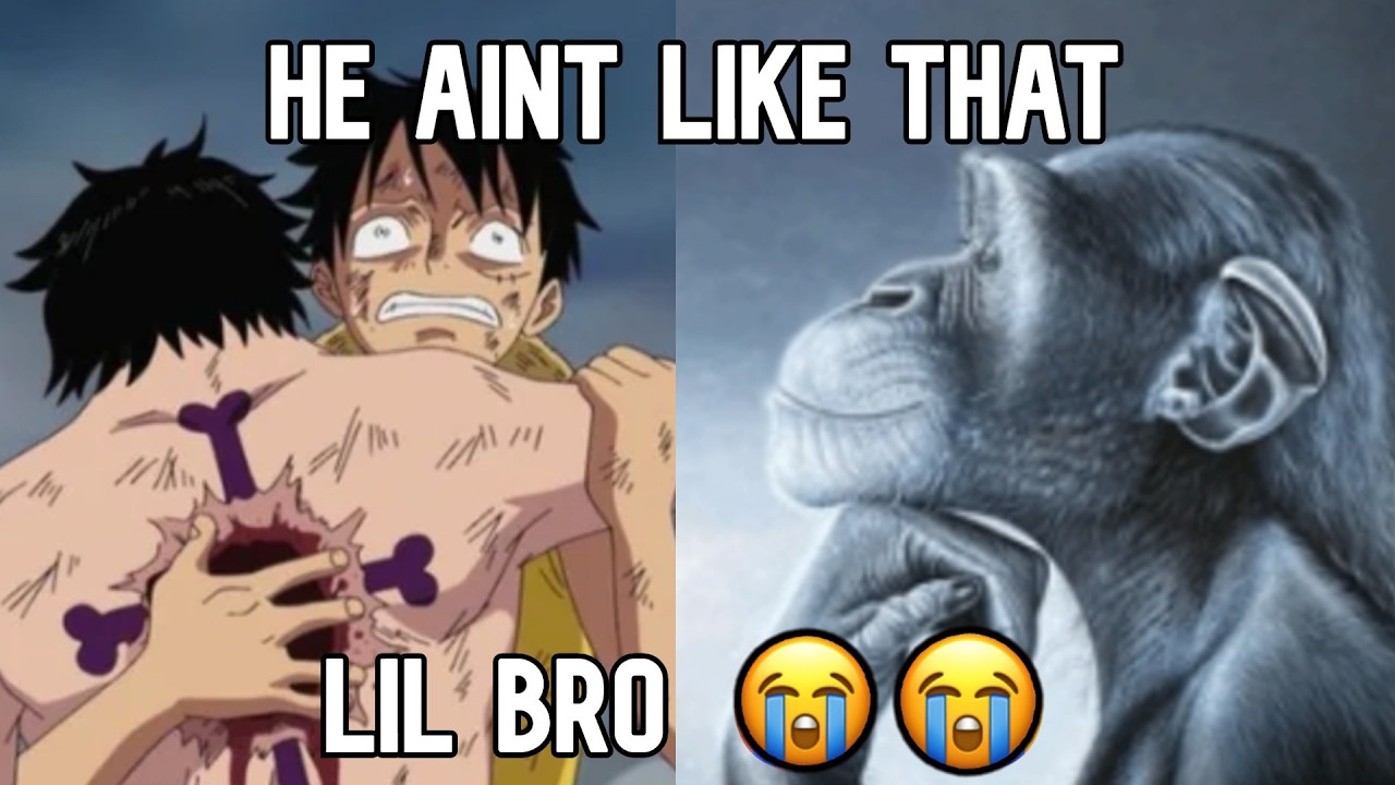the art of anime ragebait