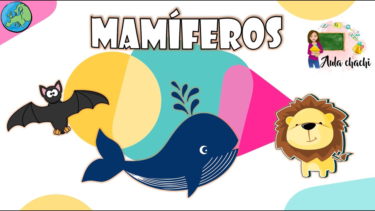 Mam&iacute;feros - Animales Vertebrados | Aula chachi - V&iacute;deos educativos para ni&ntilde;os