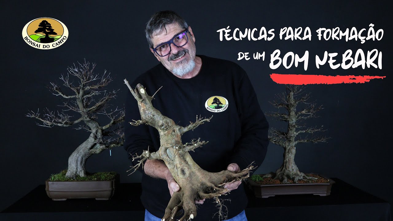 TÉCNICA PARA FORMAÇÃO DE UM BOM NEBARI