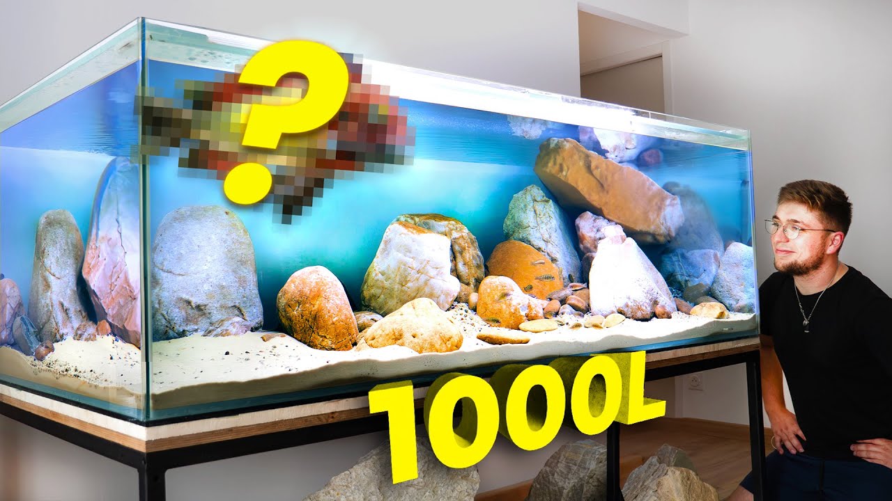 ON FAIT UN AQUARIUM DE 1000 Litres (pour des poissons exceptionnels)