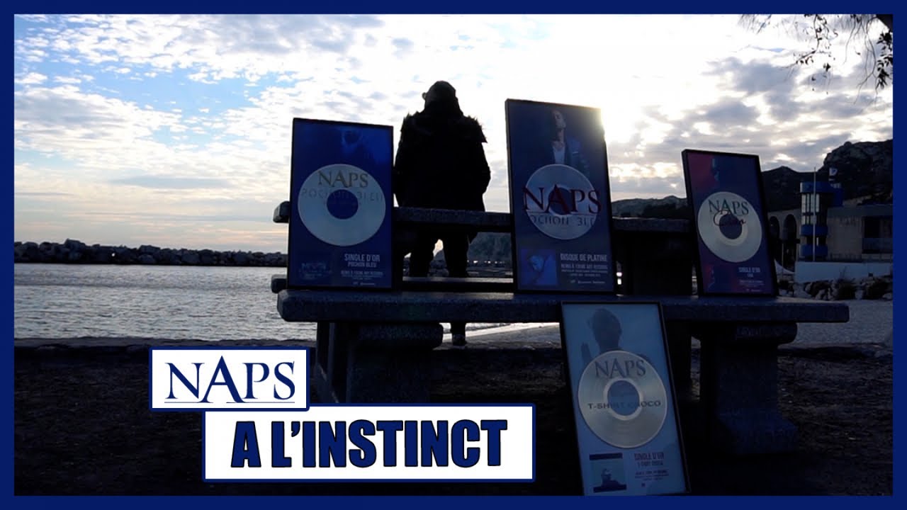 Naps - A L'instinct