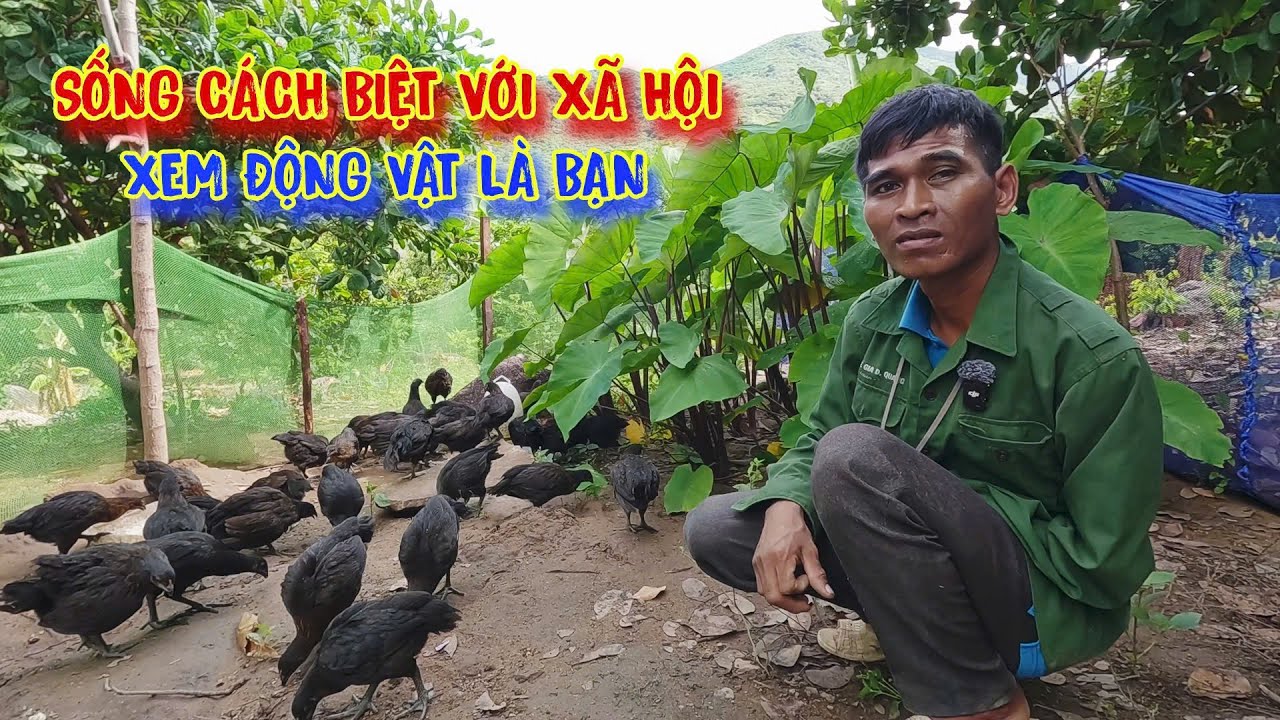XÓT THƯƠNG anh chàng khuyết tật, rời bỏ NGÔI LÀNG lên núi ở ẩn, sống cách biệt - tập 1391