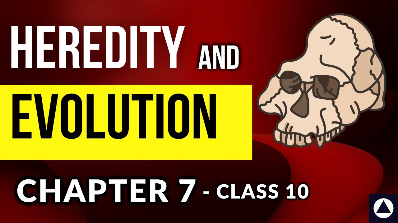 HEREDITY AND EVOLUTION - Chapter 7  Audiobook | NCERT Complete Chapter Reading - Class 10 | One-Shot