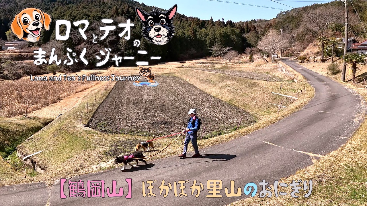 【犬と山登り】鶴岡山｜登りやすい里山と木蓮のおにぎりランチ🍙