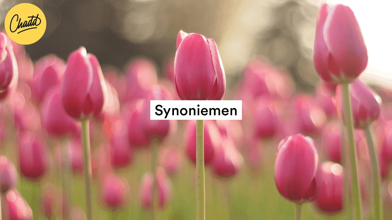 Synoniemen - Mr. Chadd Academy