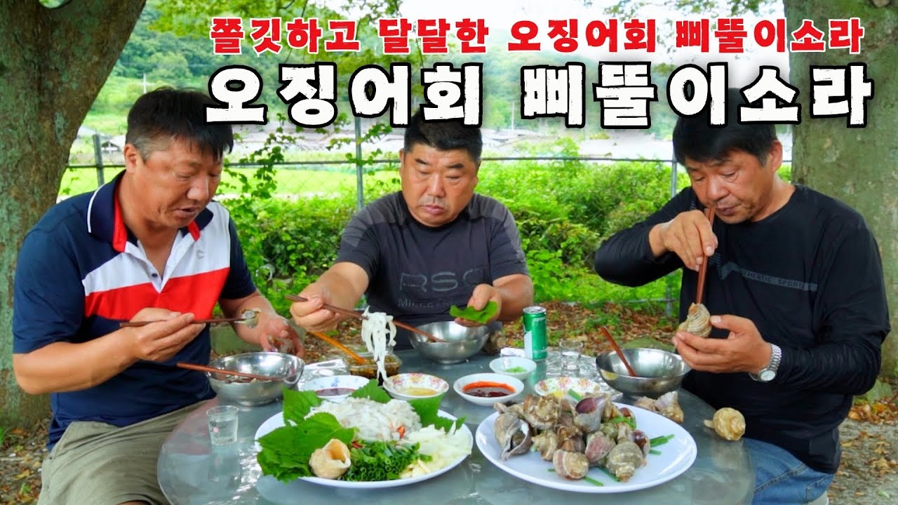 [시골먹방] 달달하고 쫄깃한 오징어회 내장까지 고소한 소라  먹방 [Raw squid & Conch] MUKBANG/EATING SHOW
