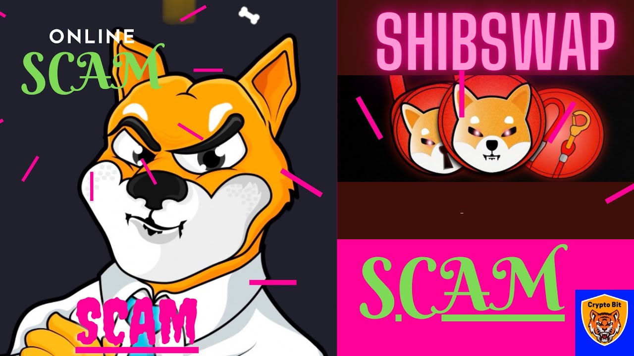 OMG !!Shiba Bone | Shiba Swap | Update News | Shiba Bone Launch 🚀 | Fraud Shiba | Shiba Scam