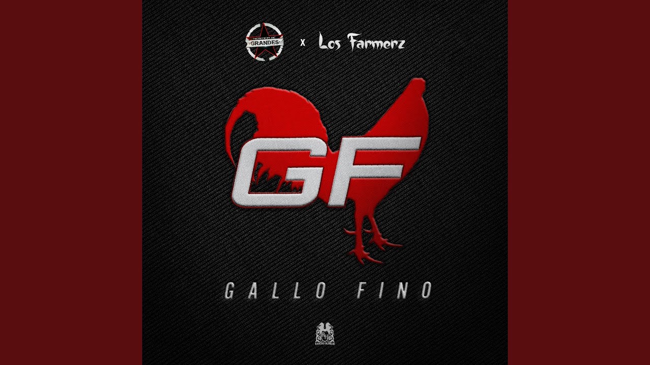 Gallo Fino
