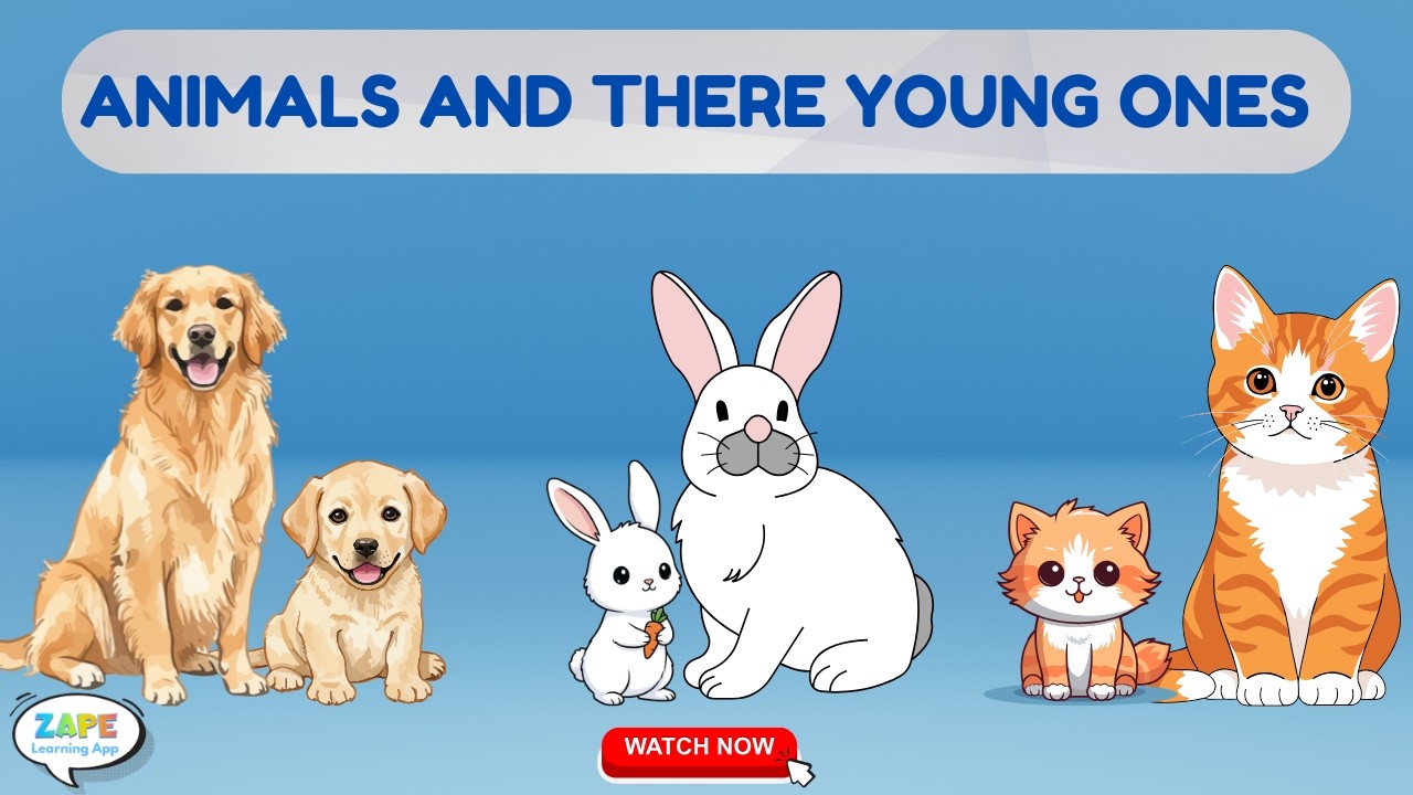 Baby Animals Names for Kids 🐻🐶 | Learn Baby Animal Names | Grade 1 Science Video