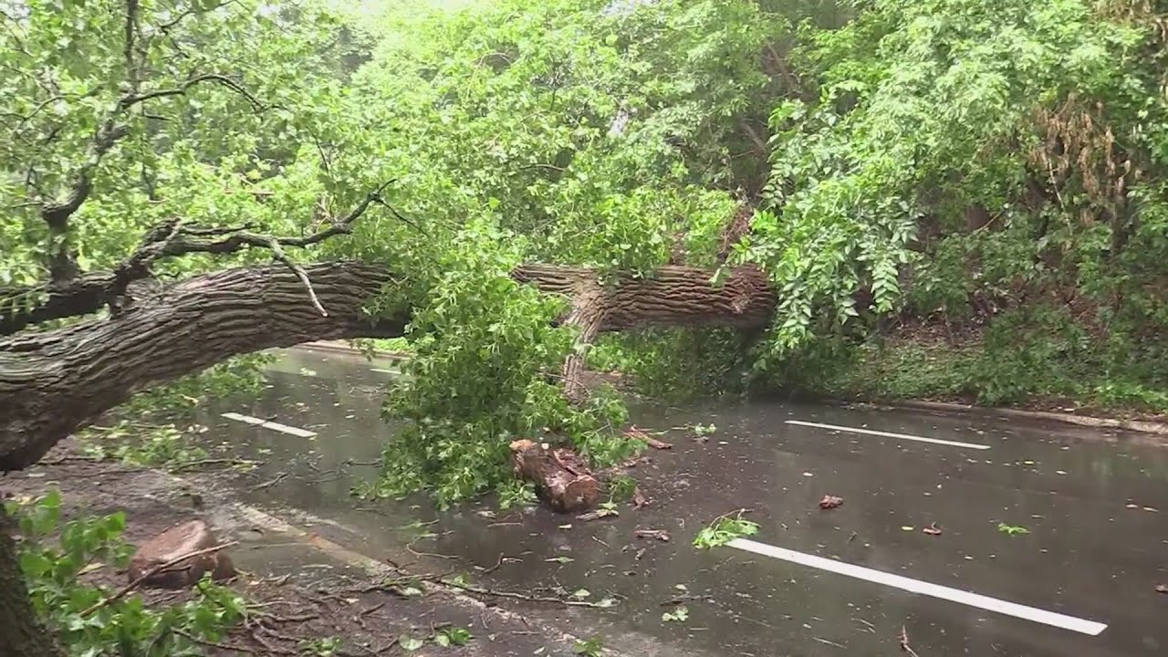 Showers and storms lead to flash flooding in Chicagoland