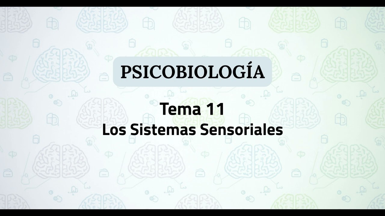 Psicobiología UNED | Tema 11: Los Sistemas Sensoriales