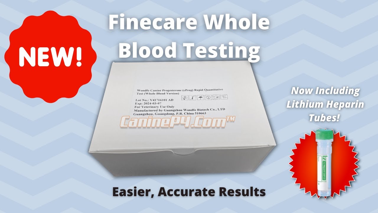 Finecare Vet Whole Blood Testing | 3 tips for Accurate Results