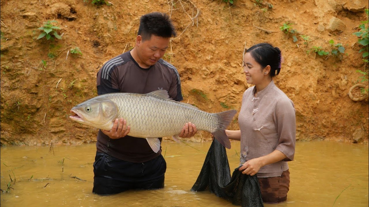 After a difficult job search, Zin finally returned to Ly Thi Di.