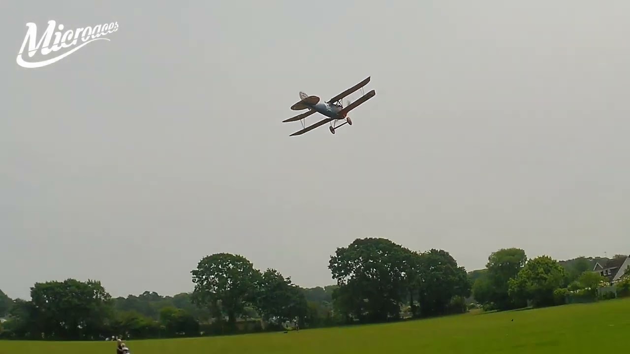 Microaces Albatros D.V Sunday Park Fly