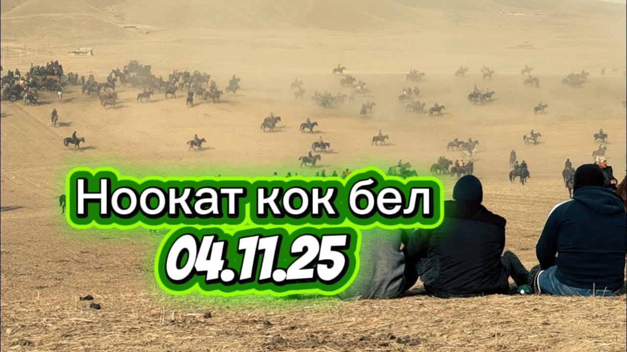 Ноокат кок бел 2 кундук улак