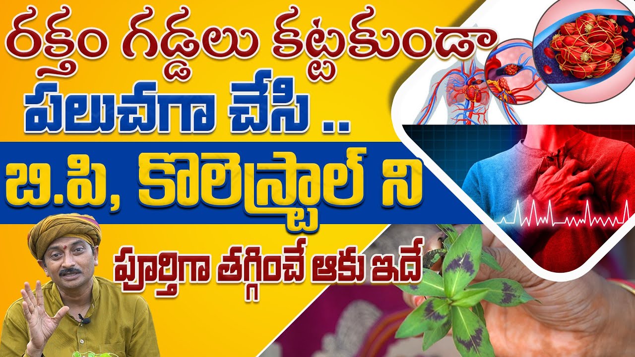 రక్తం గడ్డలు కట్టకుండా పలుచగా చేసి బి.పి, ని తగ్గించే ఆకు ఇదే | Dr.Ravivarma | AYUR MANTRA