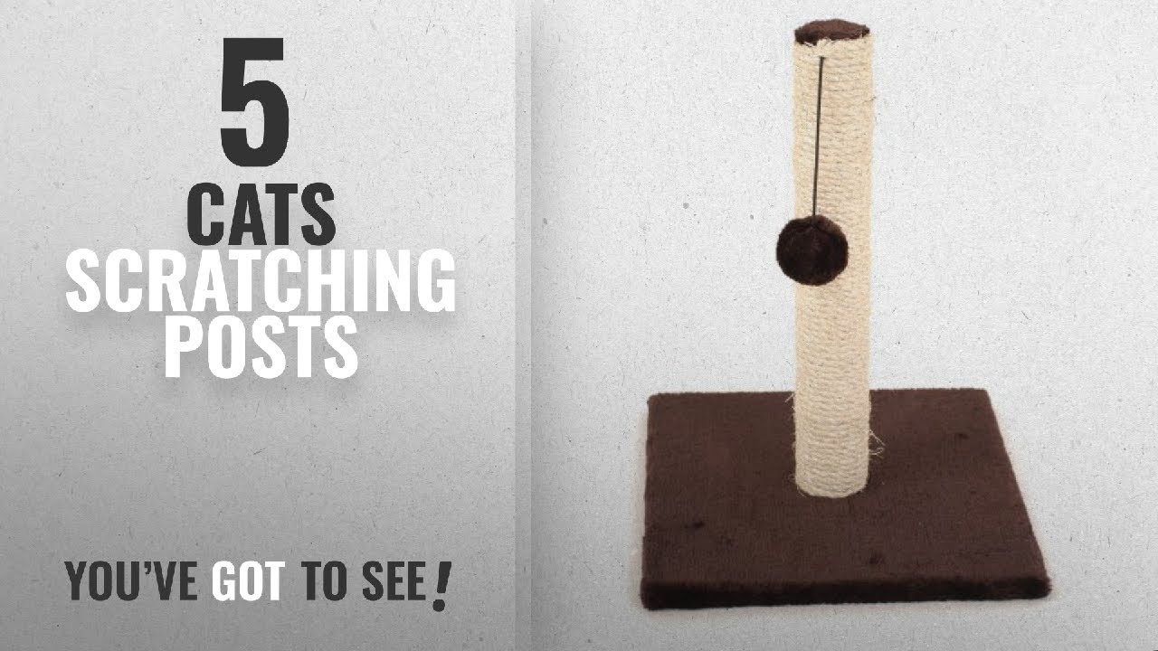 Top 10 Cats Scratching Posts [2018]: Sharples-n-Grant Playpost Cat Scratcher
