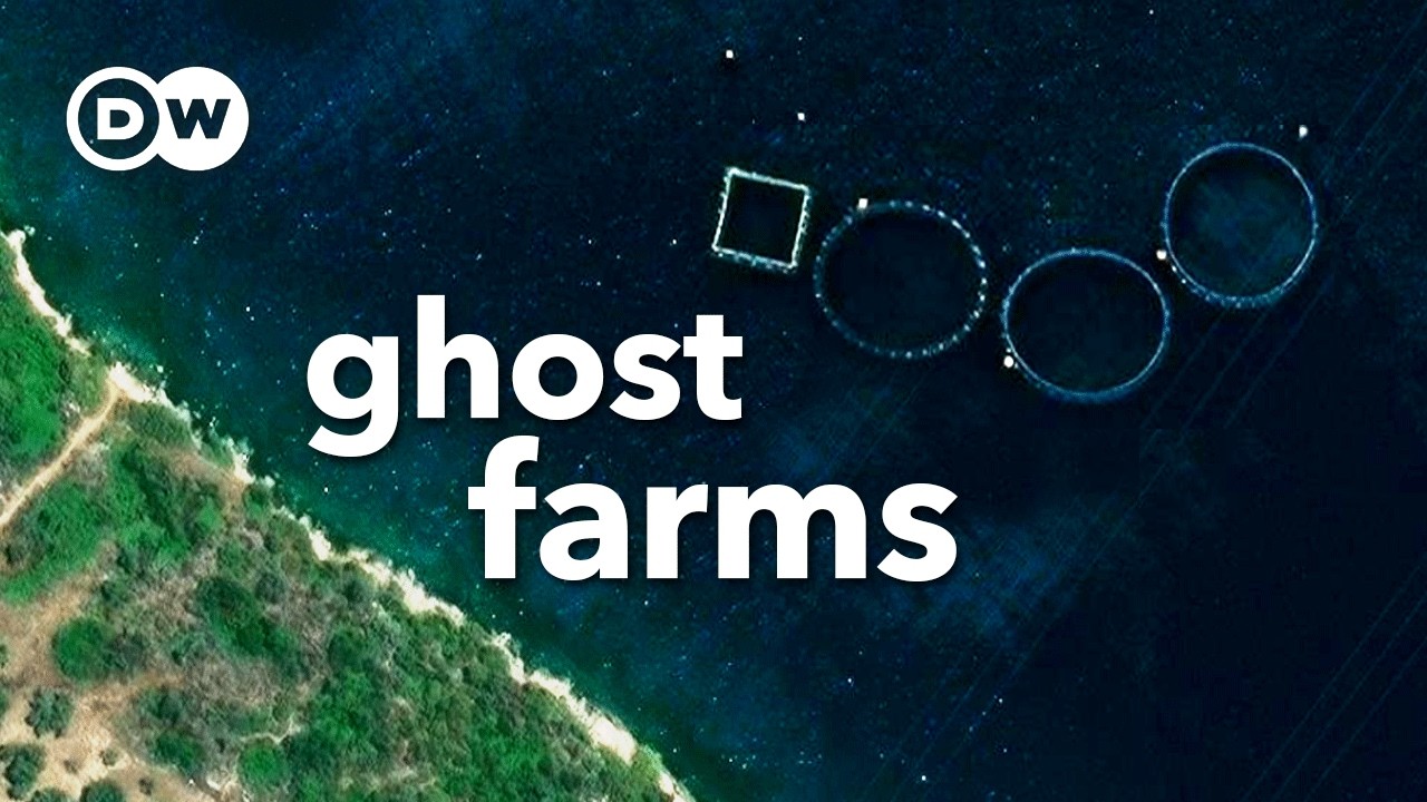 The ghost farms choking Greece’s coastline