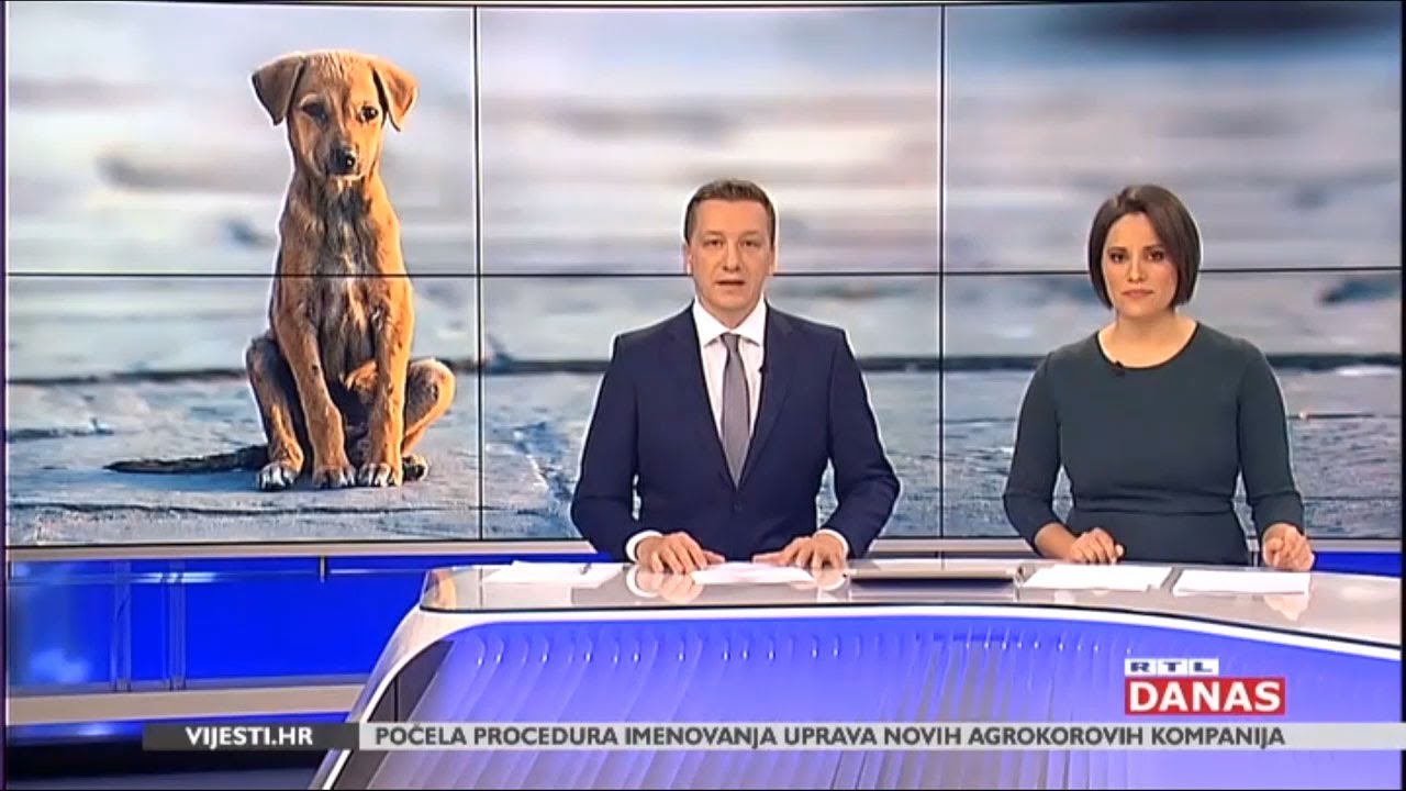 RTL: Općina Jelenje potiče udomljavanje pasa