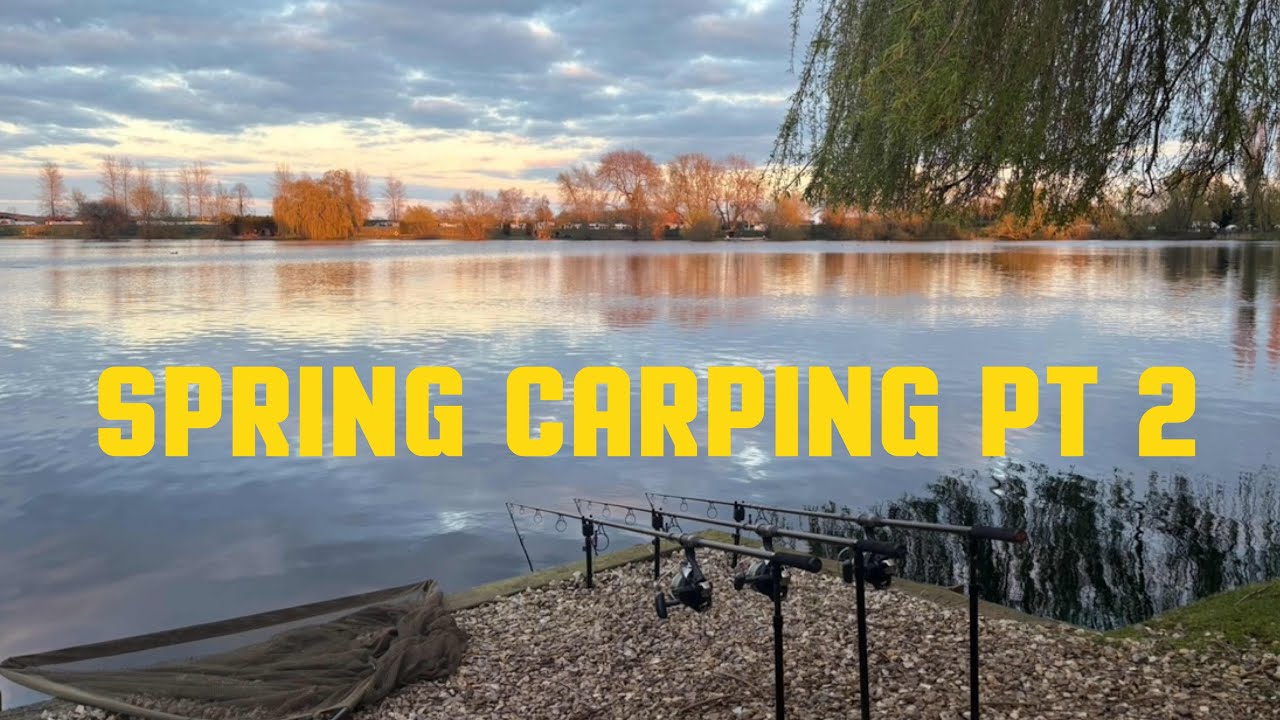 Весенняя ловля карпа на озере Кромвелл, часть 2.